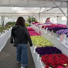 花と未来の車を満喫した日