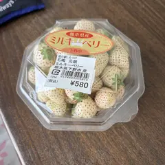 白いイチゴと恐竜の一日