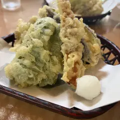 日光で味わう天ぷらと自然