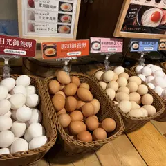 日光の自然と文化を満喫した日